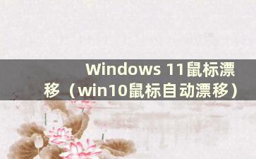 Windows 11鼠标漂移（win10鼠标自动漂移）